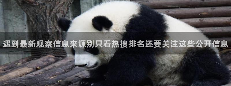 吃瓜观影站最新视频:遇到最新观察信息来源别只看热搜排名还要关注这些公开信息