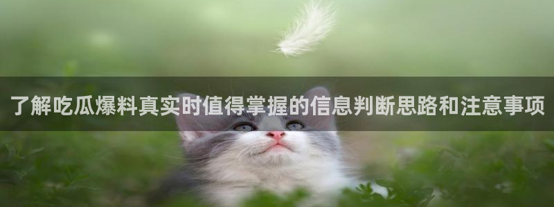 黑料不打烊吃瓜爆料网站