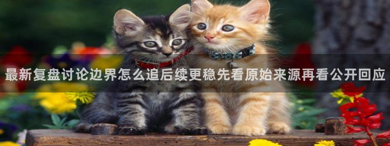 吃瓜网91
