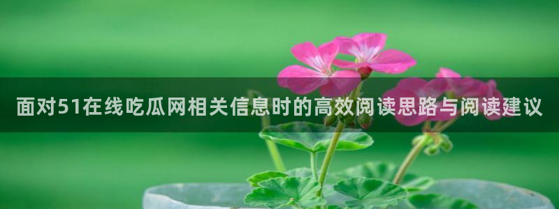 吃瓜网官网:面对51在线吃瓜网相关信息时的高效阅读思路与阅读建议