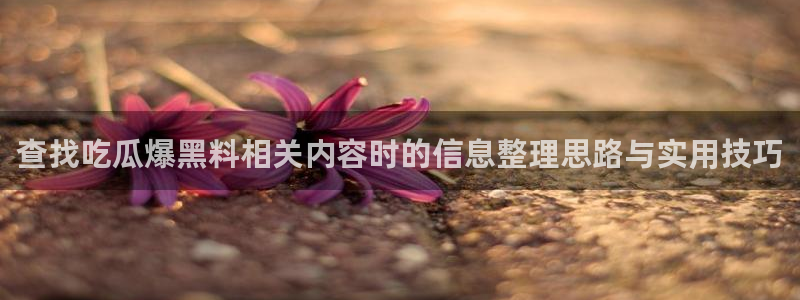 51吃瓜导航:查找吃瓜爆黑料相关内容时的信息整理思路与实用技巧