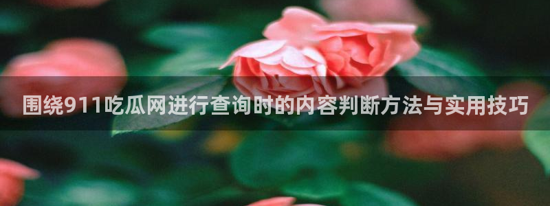 91吃瓜官网：围绕911吃瓜网进行查询时的内容判断方法与实用技巧